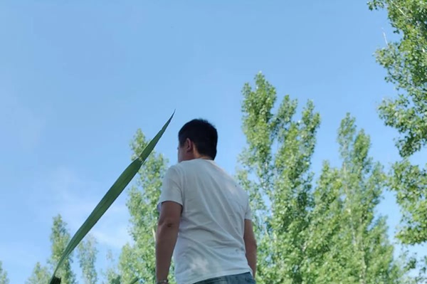 婚姻警钟:丈夫说谎话背后的真相及应对