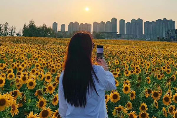 她对你动心的七个信号,你察觉到了吗